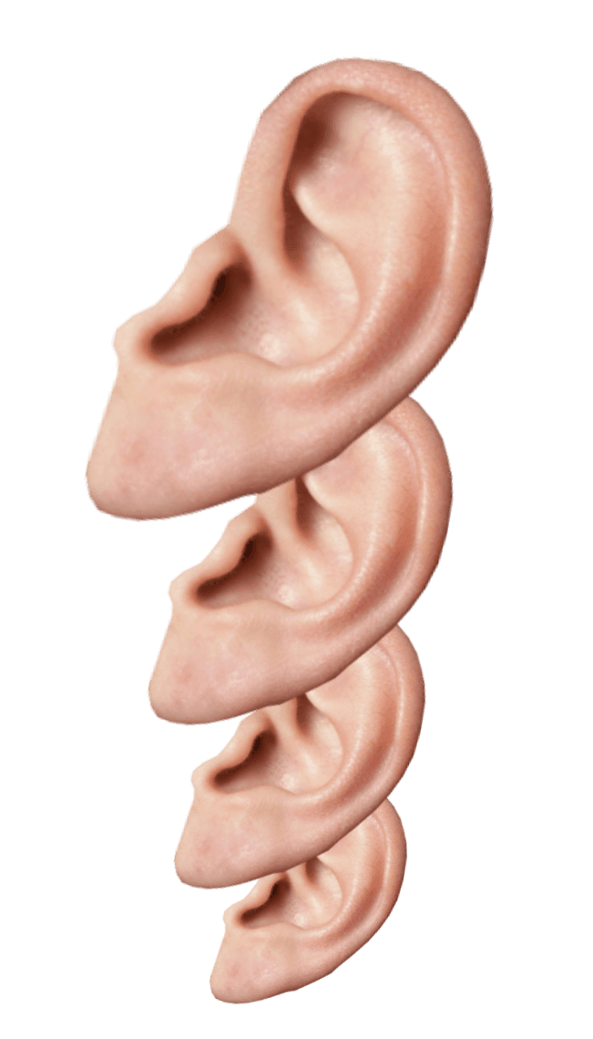 Ears area